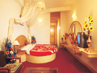 hotels in manali