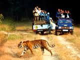 corbett tour packages