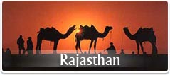 rajasthan tours