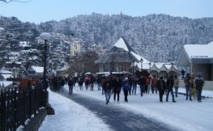 New year shimla tour packages india