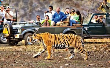 Jim Corbett National Park