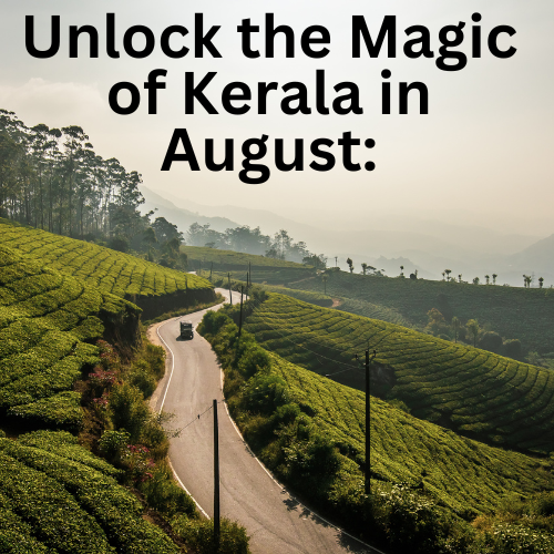 Unlock the Magic of Kerala in August: Your Guide to Embracing Nature’s Beauty at the End of Monsoon!