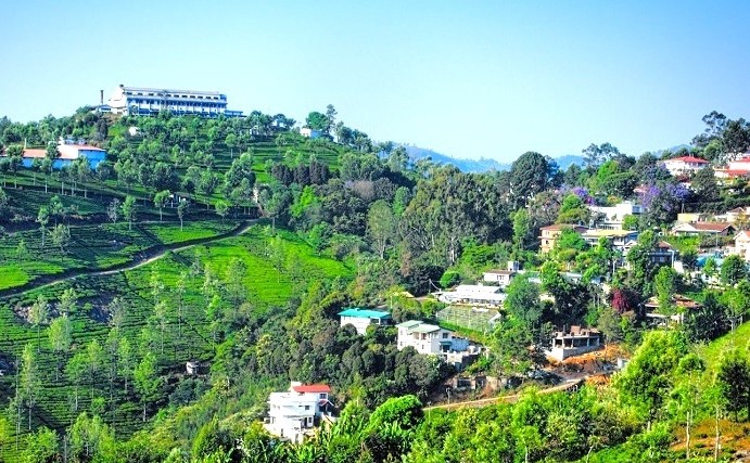 Ooty Unplugged: A Unique Bangalore To Ooty Tour Experience