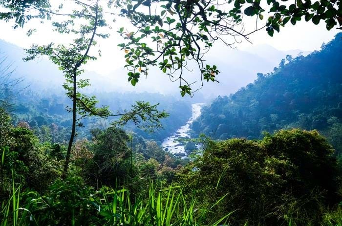 Tea TrailsTemple Tales: Discovering the Soul of Sri Lanka